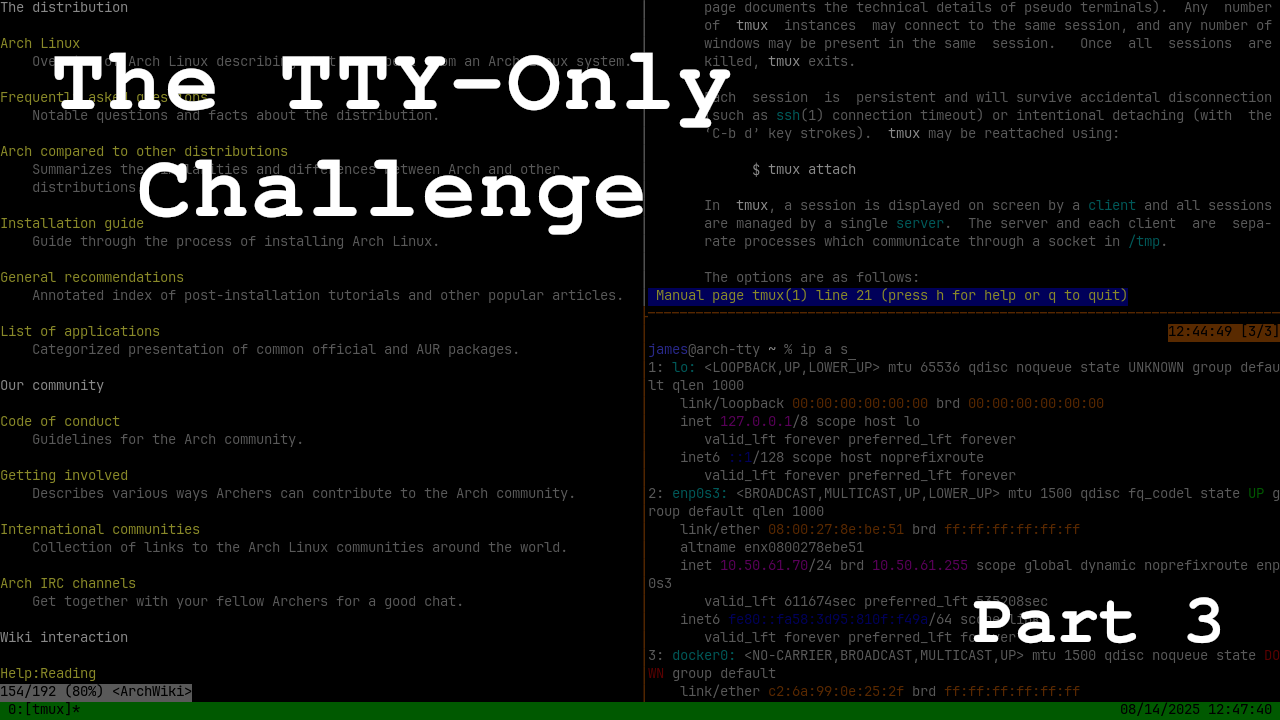 Blatant Cheating - The TTY-Only Challenge Part 3
