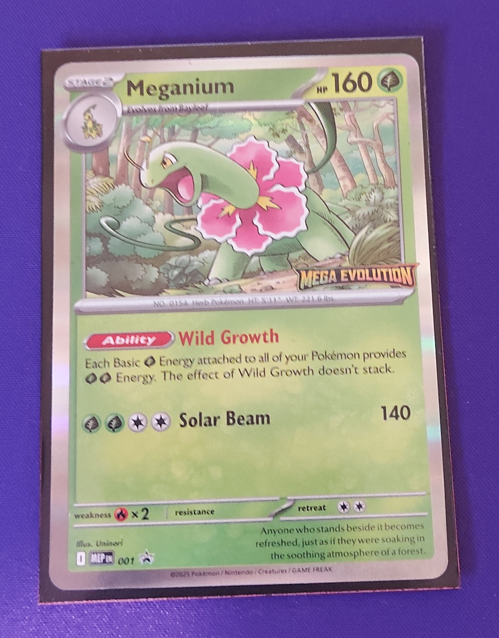 The Meganium promo card from the Mega Evolution set